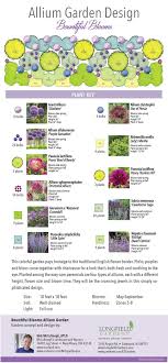 Gardening Layout Archives Page 5 Of 10 Gardening Living Allium Garden Perennial Garden Design Garden Design Layout