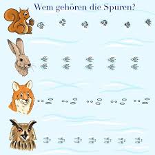 Weitere bezeichnungen sind in deutschland die allgemeine bezeichnung überraschungsei (kurz: Tierspuren Beim Wandern Im Winter Entdecken Und Bestimmen