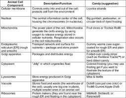 The Science Of Candy Animal Cell Cell Parts And Functions Cell Parts