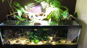 The South America Paludarium Fish Tank Themes Aquarium Fish Tank Fish Tank