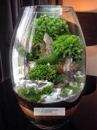 How To Make A Terrarium In A Glass Bowl Terrarium How To Make Terrariums Terrarium Diy