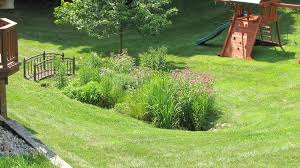 Rain Garden 05 Rain Garden Design Rain Garden Landscape Rain Garden