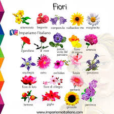 Fucsia è un colore che prende il proprio nome dal fiore della pianta fuchsia. Ecco I Nomi Di Alcuni Fiori Impariamo L Italiano Facebook