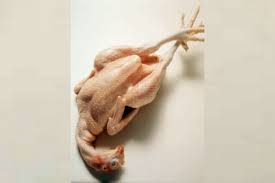 Pin Di Grosir Ayam Potong Jogja