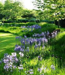Angela Collins Garden Design Use Classic Architectural Shapes Within Romantic Planting Especially In Large Country Gardens Jardineria Terraza Jardin Jar