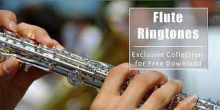 Pin On Flute Ringtones Download Mp3