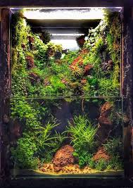 Pin By Build Your Aquarium On Paludarium Vivarium Terarium In 2021 Aquarium Landscape Amazing Aquariums Aquarium
