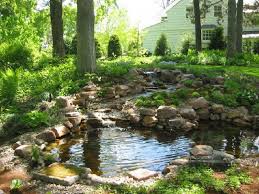 Small Pond With Boulders Decoration In Large Garden Green Area Water Features In The Garden Small Backyard Ponds Ponds For Small Gardens