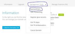 Select Name Server Dns Name Server Domain