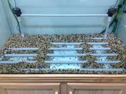 Diy Under Gravel Filter Diy Aquarium Filter Diy Fish Tank Diy Aquarium