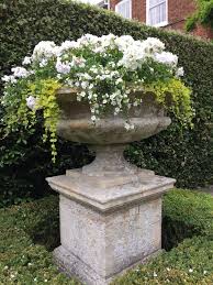 Melissehome On Instagram Home Garden Living The Good Life Inspo Interiordesign Plant Container Garden Design Container Gardening Flowers Garden Urns