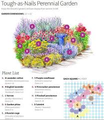 Tough As Nails Perennial Garden Plan Gardening Flower Garden Plans Perennial Garden Plans Drought Tolerant Perennials