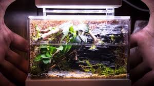 Mini Complete Waterfall Paludarium Youtube Mini Waterfall Waterfall Diy Fountain