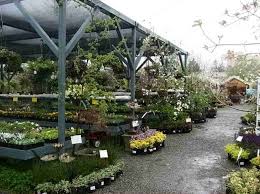 Plant Center Displays For Retail Like The End Cap Displays Garden Center Displays Garden Nursery Garden Center