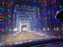 Embark On A Dazzling Drive Thru Christmas Safari At The Hollywild Animal Park In South Carolina South Carolina Light Display Light Show