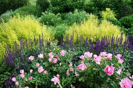 Pin On Backyard Border Bed