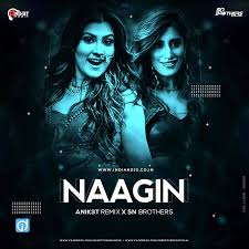 Naagin Gin Gin Remix Anik3t Remix X Sn Brothers Dj Songs Remix Song Lyric Quotes