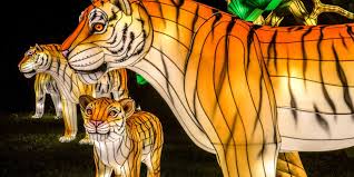 Holiday Lights Bronx Zoo Bronx Zoo Christmas Light Displays Wildlife Conservation Society