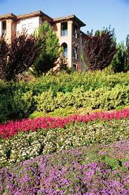Layered Colorful And Texturally Contrasting Plant Groups Cascade Along A Steep Slope Below A Multi Family Deve Sloped Garden Hillside Garden Plant Combinations