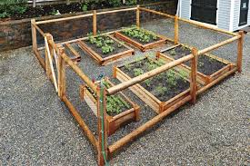 Images Of Garden Enclosures Wire And Wood Garden Enclosure With Raised Beds Garden In The Woods Garden Enclosure Ideas Garden Bed Layout