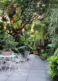 Sydney Garden Ian Mcmaugh The Design Files Sydney Gardens Jungle Gardens Backyard Garden