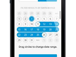 Date Filter App Design Mobile App Design Filters