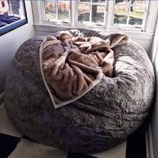 Bean Bag Bed Bean Bag Chair Unique Furniture Dream Rooms
