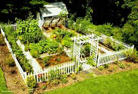 Home Vegetable Garden Design Phenomenal Best Small Super Garden Design Ideas Home Vegetable Garden Design Vege Garden Design Garden Layout