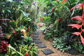 Dennis Hundscheidt S Tropical Garden Best Tropical Gardens In Brisbane Photo Galleries Tropical Garden Design Tropical Garden Plants Small Tropical Gardens