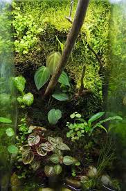 Living Background Terrarium Clay Vivarium Poison Dart Frog Reptile Insect Mantis Vivarium Tree Frog Terrarium Frog Terrarium