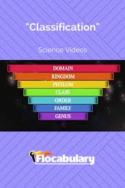 Students Will Learn How Scientists Classify Life They Ll Learn About Domain Kingdo Science Lessons Elementary Science Classroom High School Science Classroom
