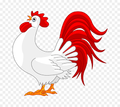 Image Result For Gambar Ayam Kartun Gambar Ayam Animasi