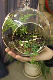 Tiny Terrarium Terrariumideasminigardens Terrarium Decor Garden Terrarium Terrarium