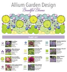Allium Christophii Allium Garden Perennial Garden Design Garden Design Layout