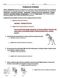 In this lesson, we will learn how to describe the evidence for evolution, and explain why the theory of evolution is now widely accepted. Evolution Activity Evidence For Evolution Identification Analysis With Key