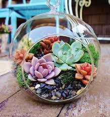 Creative Terrarium Ideas For Home Decor Succulents Succulents Decor Succulents Diy