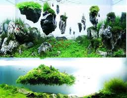 How To Make Diy Aquascape Avatar Floating Rock Island Aquascape Paludarium Blog Aquascape Aquascape Aquarium Cool Fish Tank Decorations
