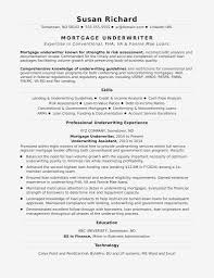 Linkedin Link On Resume Puter Skill Resume Examples Professional It Resume Examples Resume Skills Cover Letter For Resume Business Analyst Resume