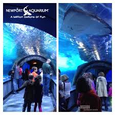 Cincinnati Staycation Destinations The Newport Aquarium And Cincinnati Museum Center Newport Aquarium Cincinnati Museum Cincinnati