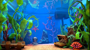 50 Best Aquarium Backgrounds Aquarium Backgrounds Aquarium Aquarium Drawing