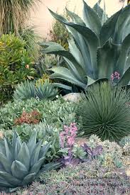 Pin By Jeska Joy On Southwest Landscapes Xeriscape Landscaping Drought Tolerant Garden Succulent Landscaping
