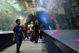 Newport Kentucky Aquarium Newport Aquarium Ohio River Aquarium