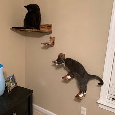 Looking for some diy cat projects that you can put together for your feline friend? Cat Wall Step Cat Furniture Cat Stairs Brushed Burned Wood Etsy Cat Stairs Cat Steps Cat Shelves