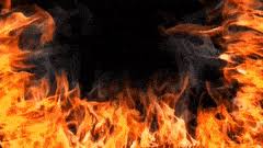 🤯выбиваю мега скар с колеса фортуны в фри фаер! Best Fire Background Video Free Download Gifs Gfycat