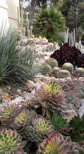 Cactus Garden Design By Philippe Dalmasso Of Cannes Cactus Garden Design Outdoor Cactus Garden Xeriscape Landscaping