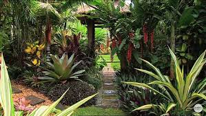 Beautiful Tropical Garden Tropical Landscaping Tropical Garden Tropical Garden Design