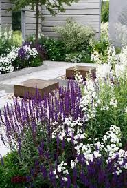 Pin On Garden Flowers