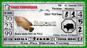 Prediksitogel Prediksitogelterpercaya Juditogelonline Rumus2d Rumus3d Rumus4d Agenjuditogel Bandartogel Prediksitogel Dukuntogel Band Hewan Singapura