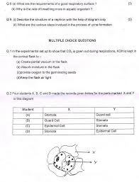 Cbse Class 10 Sa1 Question Papers Science Aglasem Schools Question Paper Physics Question Paper This Or That Questions