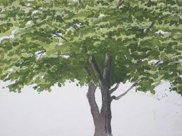 Beeindruckende kunstwerke mit acryl malen leicht gemacht. Einen Baum Malen Mit Aquarellfarben John Fisher Wie Malt Man De Zeichnen Lernen Malen Lernen Online Malkurs Mit Acryl Und Olfarbe Malenwie Malt Man De Zeichnen Lernen Malen Lernen Online Malkurs Mit Acryl Und Olfarbe Malen